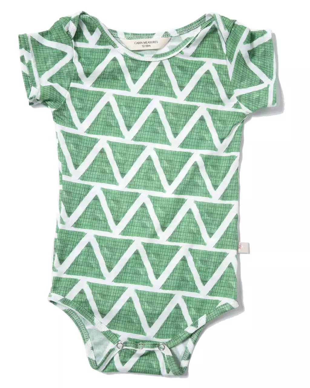 Organic Cotton Onesie / DOLLAR BILL